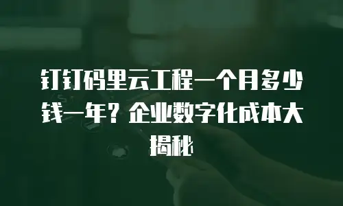 钉钉码里云工程一个月多少钱一年？企业数字化成本大揭秘