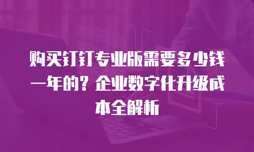 购买钉钉专业版需要多少钱一年的？企业数字化升级成本全解析
