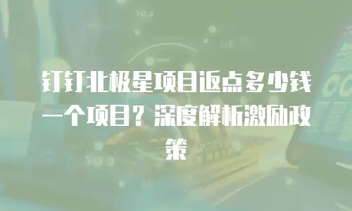 钉钉北极星项目返点多少钱一个项目？深度解析激励政策