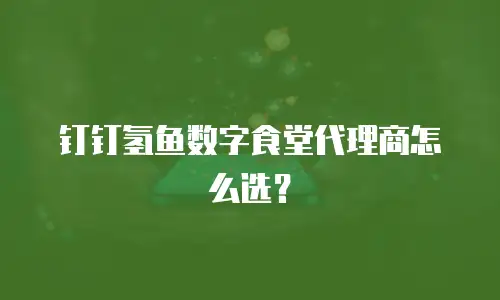 钉钉氢鱼数字食堂代理商怎么选？