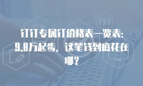 钉钉专属钉价格表一览表：9.8万起步，这笔钱到底花在哪？