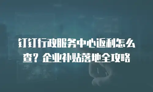 钉钉行政服务中心返利怎么查？企业补贴落地全攻略