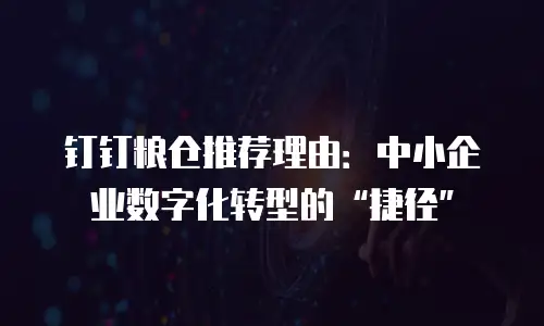 钉钉粮仓推荐理由：中小企业数字化转型的“捷径”