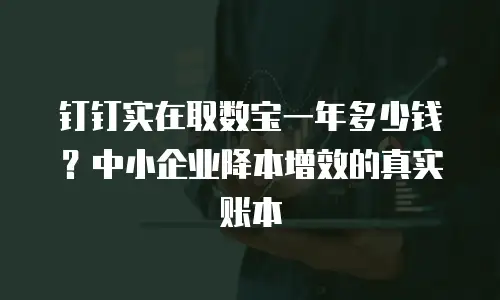 钉钉实在取数宝一年多少钱？中小企业降本增效的真实账本