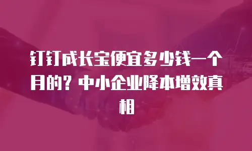 钉钉成长宝便宜多少钱一个月的？中小企业降本增效真相