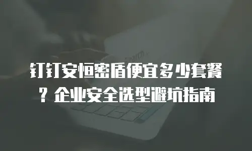 钉钉安恒密盾便宜多少套餐？企业安全选型避坑指南