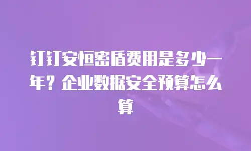 钉钉安恒密盾费用是多少一年？企业数据安全预算怎么算
