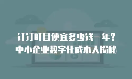 钉钉盯目便宜多少钱一年？中小企业数字化成本大揭秘