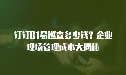 钉钉B1易巡查多少钱？企业现场管理成本大揭秘