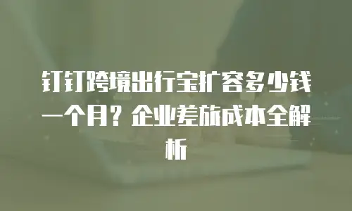 钉钉跨境出行宝扩容多少钱一个月？企业差旅成本全解析