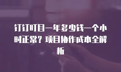 钉钉盯目一年多少钱一个小时正常？项目协作成本全解析