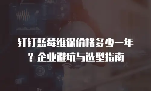 钉钉蓝莓维保价格多少一年？企业避坑与选型指南