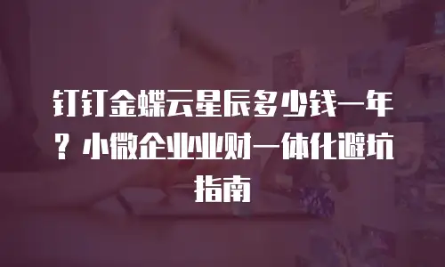 钉钉金蝶云星辰多少钱一年？小微企业业财一体化避坑指南