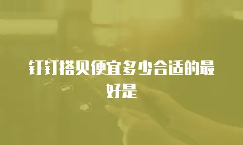 钉钉搭贝便宜多少合适的最好是