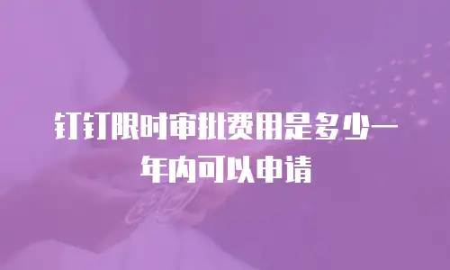 钉钉限时审批费用是多少一年内可以申请