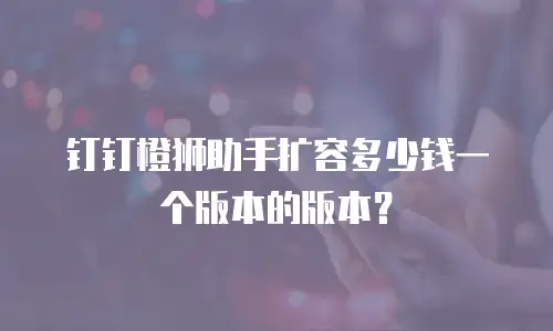 钉钉橙狮助手扩容多少钱一个版本的版本？