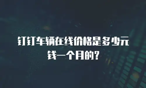钉钉车辆在线价格是多少元钱一个月的？