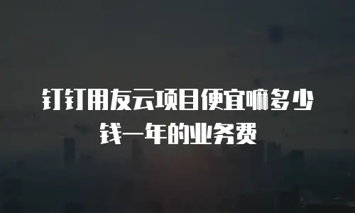 钉钉用友云项目便宜嘛多少钱一年的业务费