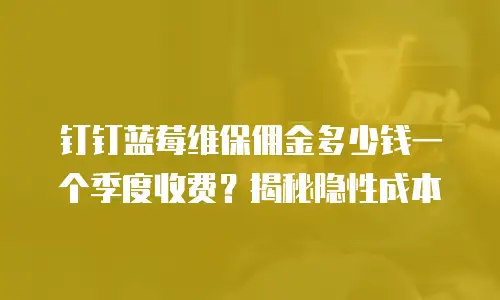 钉钉蓝莓维保佣金多少钱一个季度收费？揭秘隐性成本