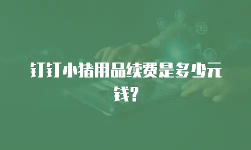 钉钉小猪用品续费是多少元钱？