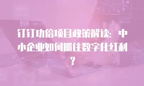 钉钉功倍项目政策解读：中小企业如何抓住数字化红利？