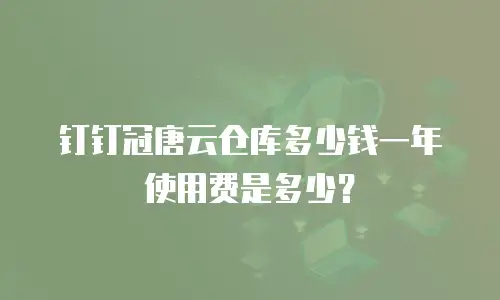 钉钉冠唐云仓库多少钱一年使用费是多少？