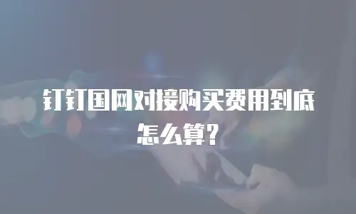 钉钉国网对接购买费用到底怎么算？
