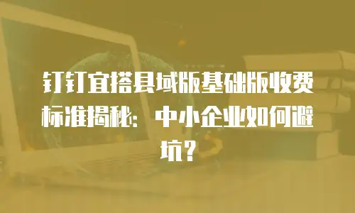 钉钉宜搭县域版基础版收费标准揭秘：中小企业如何避坑？