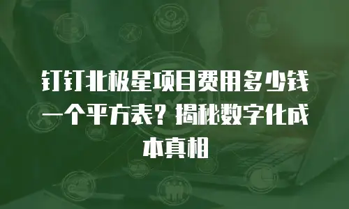 钉钉北极星项目费用多少钱一个平方表？揭秘数字化成本真相