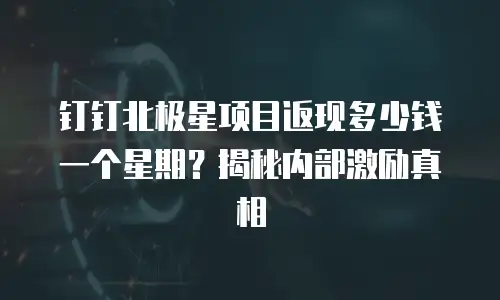 钉钉北极星项目返现多少钱一个星期？揭秘内部激励真相