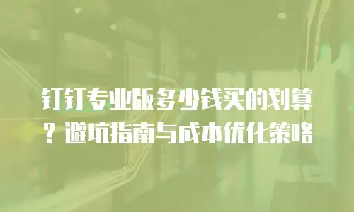 钉钉专业版多少钱买的划算？避坑指南与成本优化策略