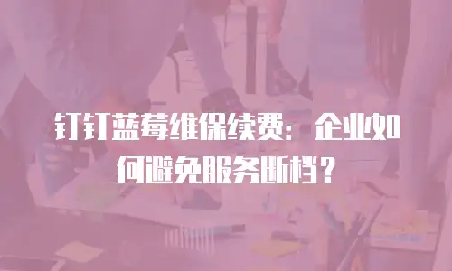 钉钉蓝莓维保续费：企业如何避免服务断档？