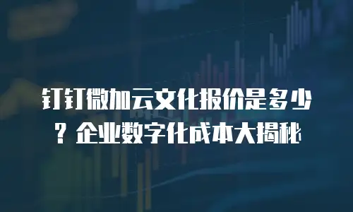 钉钉微加云文化报价是多少？企业数字化成本大揭秘