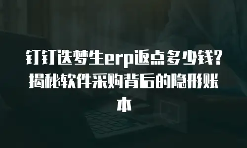 钉钉迭梦生erp返点多少钱？揭秘软件采购背后的隐形账本