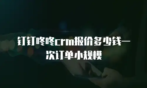 钉钉咚咚crm报价多少钱一次订单小规模