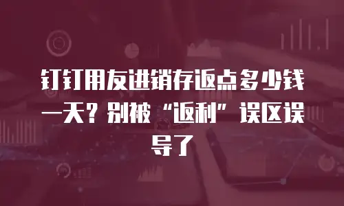 钉钉用友进销存返点多少钱一天？别被&ldquo;返利&rdquo;误区误导了