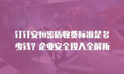 钉钉安恒密盾收费标准是多少钱？企业安全投入全解析