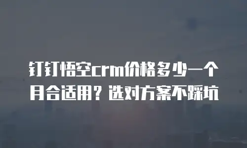 钉钉悟空crm价格多少一个月合适用？选对方案不踩坑