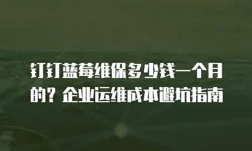 钉钉蓝莓维保多少钱一个月的？企业运维成本避坑指南