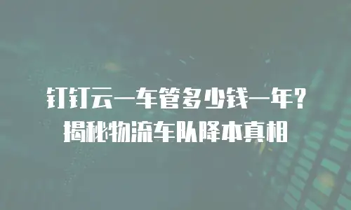 钉钉云一车管多少钱一年？揭秘物流车队降本真相