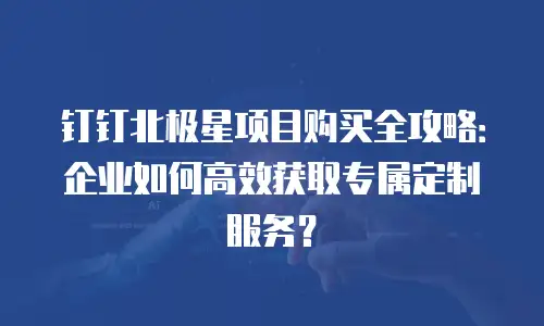 钉钉北极星项目购买全攻略：企业如何高效获取专属定制服务？