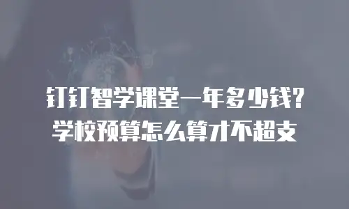 钉钉智学课堂一年多少钱？学校预算怎么算才不超支