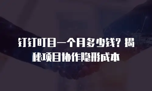 钉钉盯目一个月多少钱？揭秘项目协作隐形成本