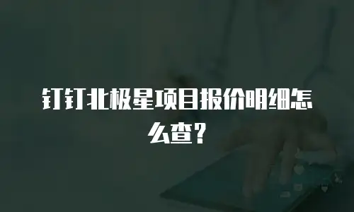 钉钉北极星项目报价明细怎么查？