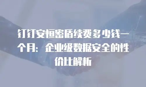 钉钉安恒密盾续费多少钱一个月：企业级数据安全的性价比解析