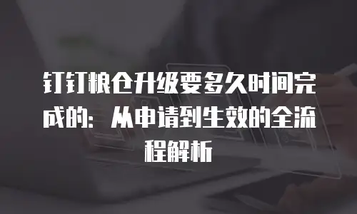 钉钉粮仓升级要多久时间完成的：从申请到生效的全流程解析