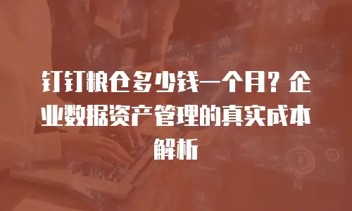 钉钉粮仓多少钱一个月？企业数据资产管理的真实成本解析