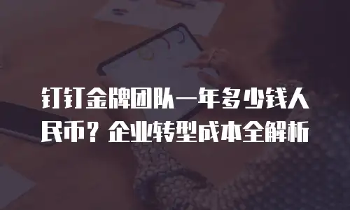 钉钉金牌团队一年多少钱人民币？企业转型成本全解析