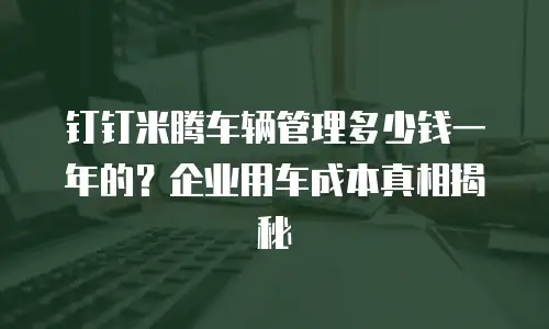 钉钉米腾车辆管理多少钱一年的？企业用车成本真相揭秘