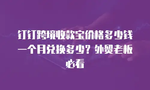 钉钉跨境收款宝价格多少钱一个月兑换多少？外贸老板必看